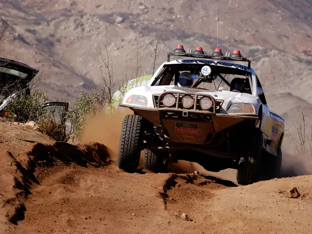 Post-COP27 Appeal: A Roadmap for Immediate Business Activity