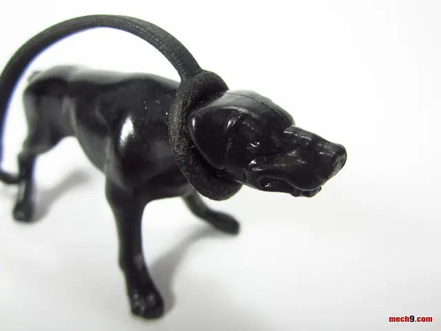 Is it common for canines to vigorously move their playthings, and is this typical canine conduct?