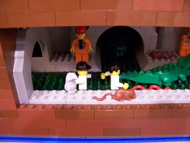 Canine Aversion Towards Playthings: Understanding the Issue and Finding Solutions