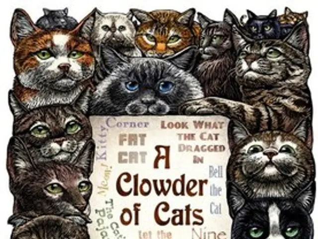Endured Sufferings and Ultimately Demise - Canine Subject Meeting Fate After Act of Sacrifice
