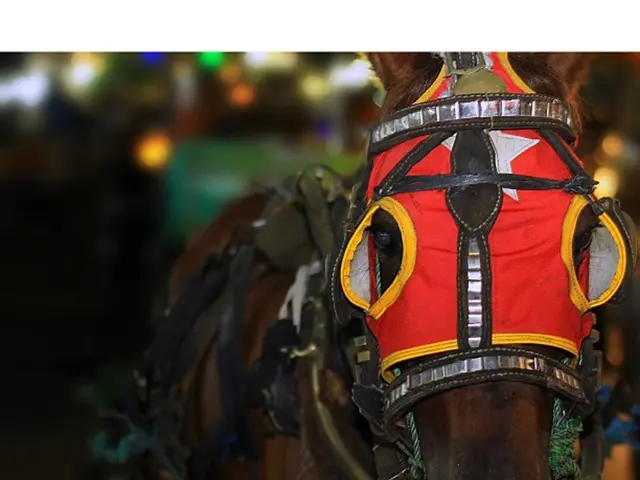 United Arab Emirates: Sheikh Mohammed greenlights housing projects worth over DH2 billion for...