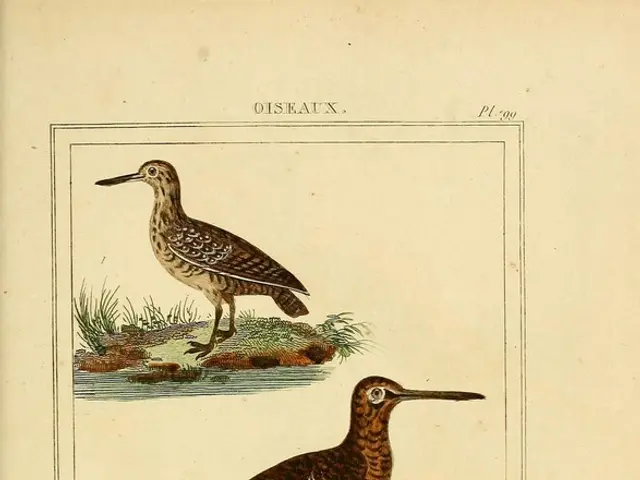 Reviving the Extinct: Could We Resurrect Lost Species in Present Times?