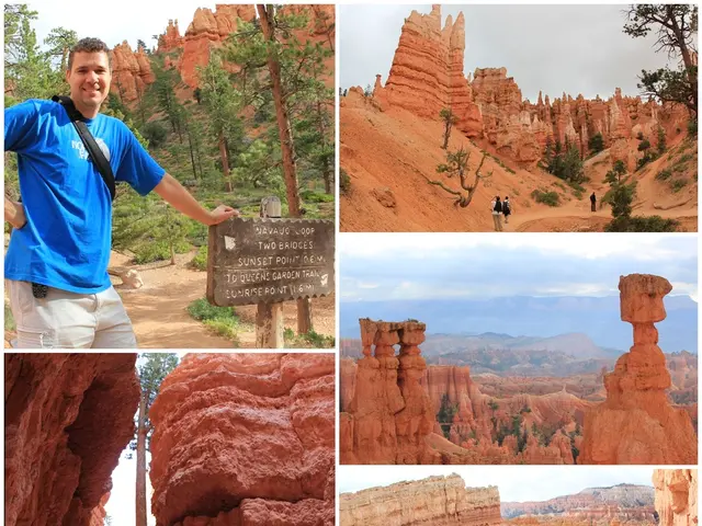 Peaceful series, entitled "80 Years of Peace," commences