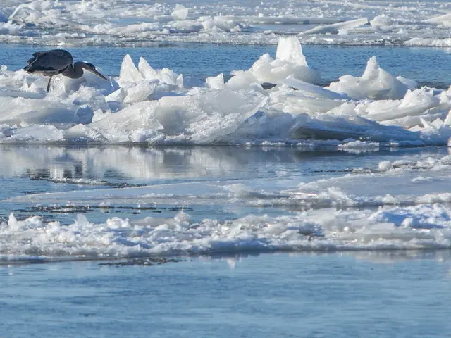 Electricity generation from ice revealed: Scientists uncover this surprising fact