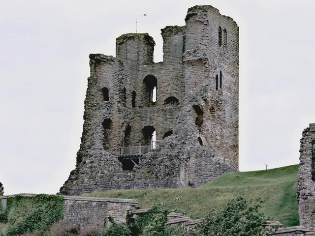 Title: Exploring the Boundaries: The 'Horizon' Revealed