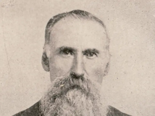 Unveiling The Natural Hue of Facial Hair: Investigating Home Beard Coloring Products and Digital...