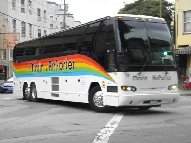 Bus lines 1 and Saturn are altering course because of the transformation of forest pastures