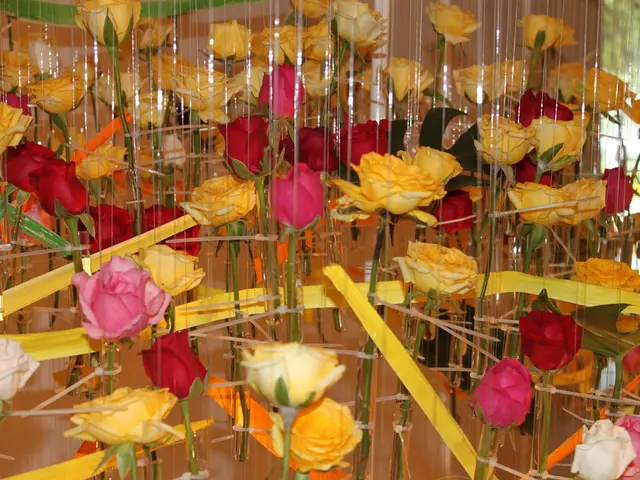 Dalhousie University to restart negotiations with union on Monday, ending a two-week work stoppage