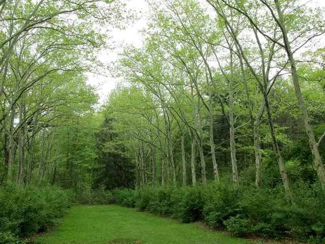 A cinematic rally for advocating a nature overhaul in our nation, Wilding's film features...