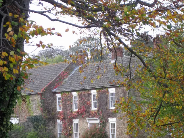 Proper House Humidity Levels: Comprehensive Guide to Seasonal Adjustments, Room-Specific...