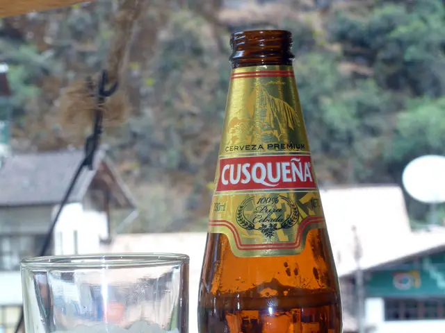 South Palatinate Wine Excursion: Exploring Vineyards in the South Palatinate Region