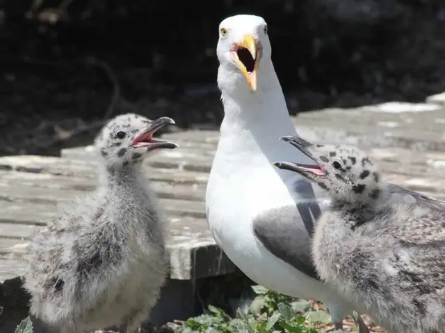 Awe-inspiring manifestation of the divine