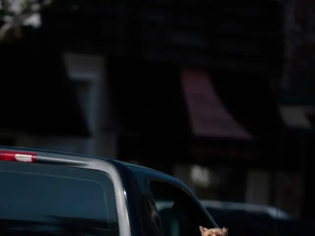 Law enforcement retrieves distraught canine from sweltering vehicle