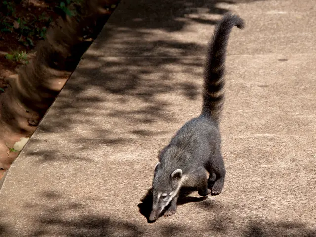 Seasonal Changes and the Struggle with Seasonal Affective Disorder