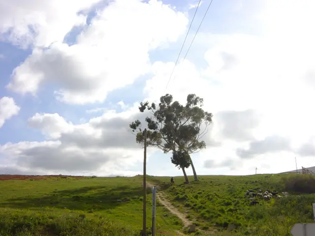 Pushing the Limits in Web3.0 Innovation: ZHGUI Exchange Leads the Way