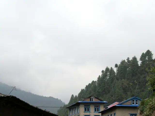 Netflix's Wednesday series set for season 3: What we're aware of in regards to the comeback of the...