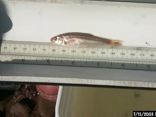 Data Manipulation Features in Power BI using DAX (Data Analysis Expressions) Dates