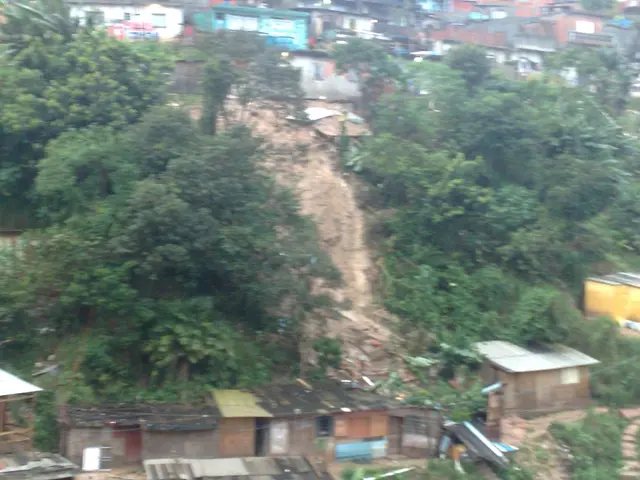 Search Tree Based on Binary Structure