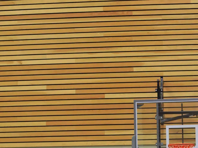 Uncovering Possible Fraud in Leonard's Payroll