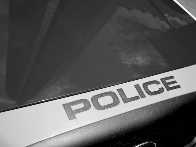 Government agency IGP/RS announces job openings with 38 positions available; salary amounts to...