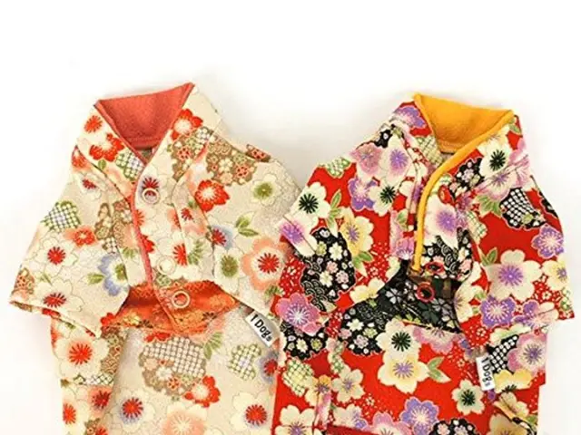 High-priced Princess Diana floral gown up for auction at Julien's Auctions, priced at $508,000.