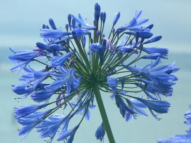 Expressing immense thankfulness