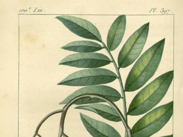 Downloadable Apple-Related Educational Materials