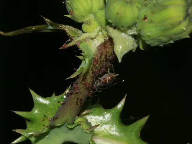 Growing optimism at Meituan as Q1 losses decrease and order volume increases significantly