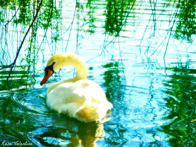 Unheralded Endangered Species: Rare Creatures That Escape Common Knowledge (On The Occasion of...