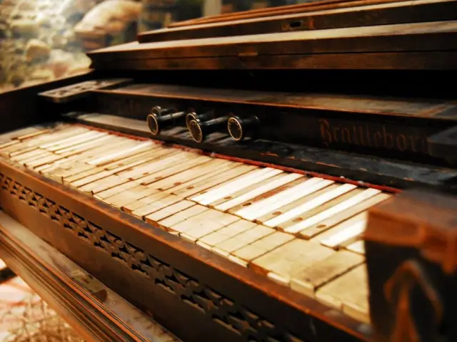 Brad Mehltau's Rant: Unfiltered and Unapologetic