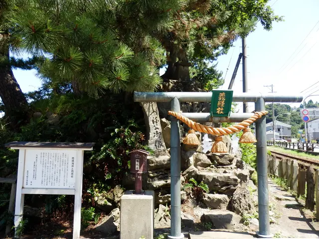 Russia and China's pipeline negotiations may frustrate Trump's hold on energy resources.