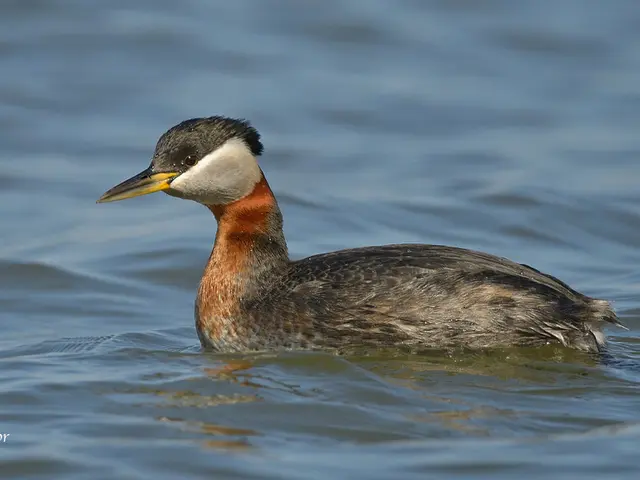 Rising concerns over pre-budget government bond yields expose potential weaknesses in pension fund...