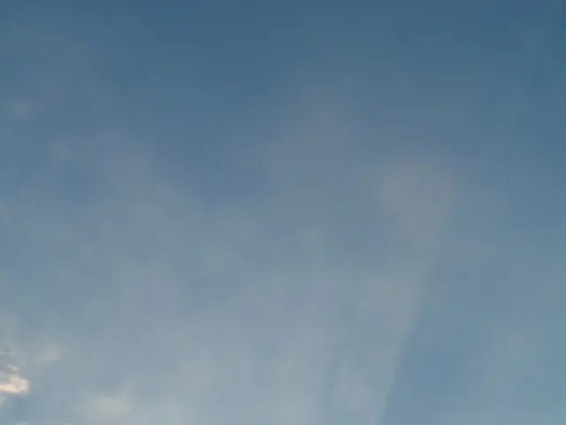 Immediate Updates via WhatsApp in Greifswald - Stay Informed Instantly