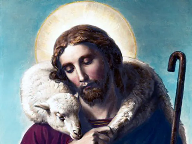 Individual observed strolling sheep on a leash within train station premises