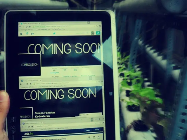 Senescence-Positive Cells Accelerate Diabetic Kidney Disease through Metabolic Disruption