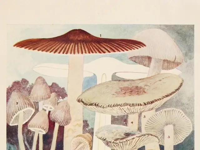 Pioneering Businesswoman Facilitates Rural Empowerment via Mushroom Cultivation and High-Value...