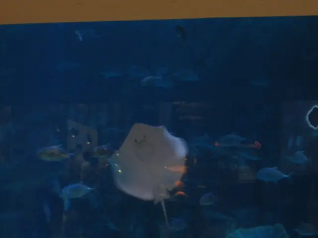 Aquarium-bound Scalars Explained