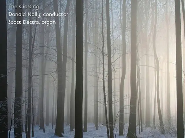 Snowy surprise in Autumn: Centennial calendar predicts snowball occurrence in fall season