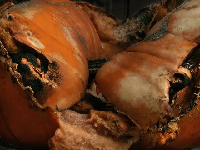 Lidl unveils alterations in all stores for public observation