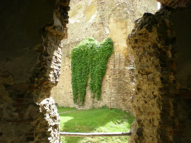 Australia Supports Prolongation of Coal Mine Despite Escalating Climate Anxieties