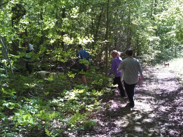 Exploring Collaborative Governance Structures in Contemporary Administrations