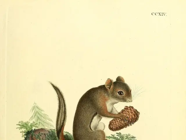 Squirrel found electrocuted persisted despite shocked neighbors in Eastwood, causing a power outage