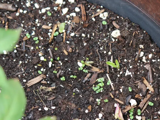 Permaculture Soil Analysis: A Step-by-Step Guide for Novices