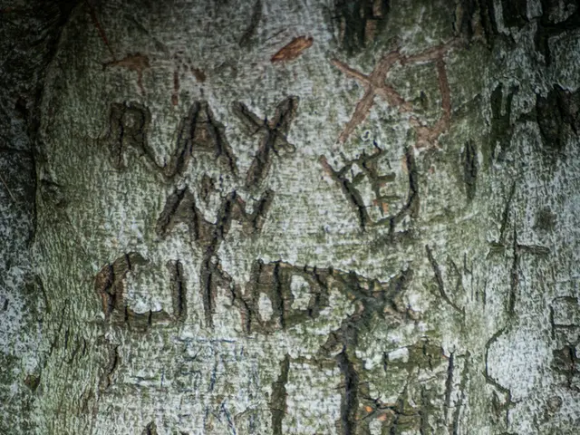 Illicit operations thrive with tow trucks managed by cartels in Veracruz