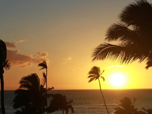 Celestial phenomena such as sun dogs, rainbows, and glories are natural marvels often observed on...