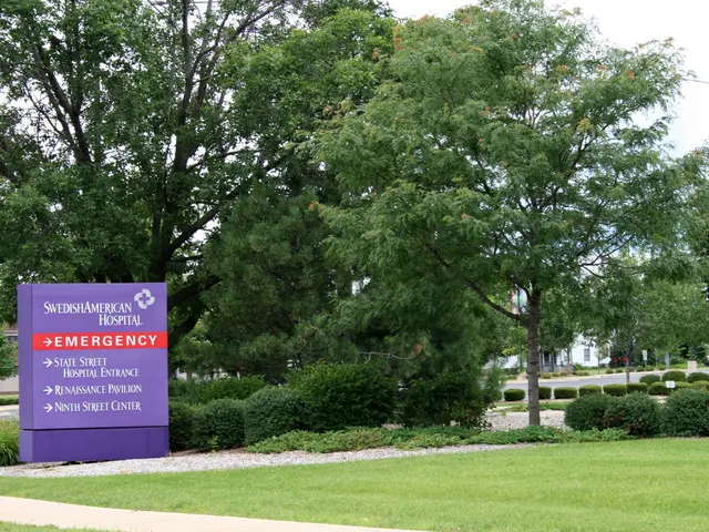 Zach Iscol expresses his duty to be watchful over all matters