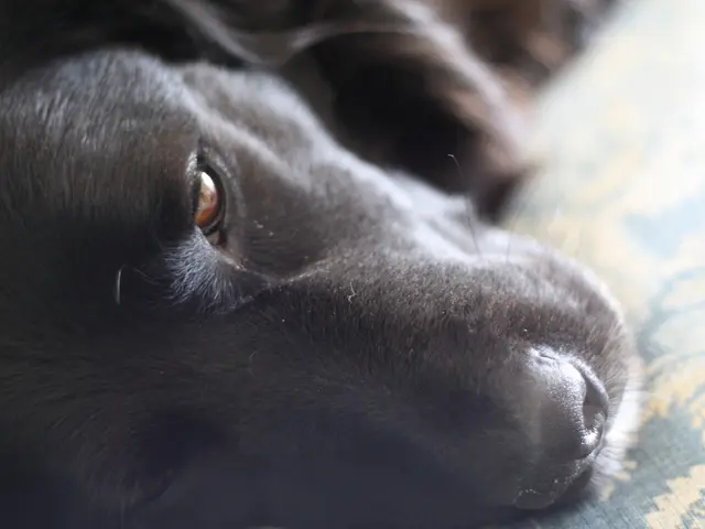 District-Wise Test Cities for UPSSSC PET Exam in 2025: List Revealed