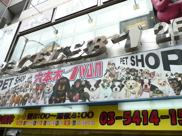 Decoding and combating memory loss in the elderly