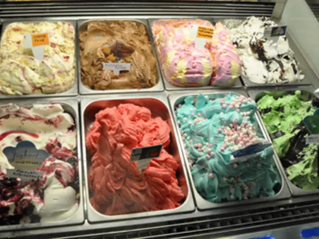 Growing Artisanal Ice Cream Market Forecasted to Hit a Value of 112.5 Billion Dollars by 2034
