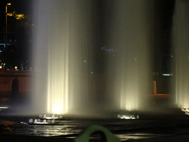 The Commission has taken an active role in executing the initiatives of the stated programme.